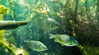 Карьер в июле