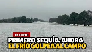 Primero sequía, ahora el frío golpea al campo