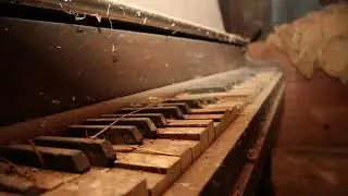 P.D.Q. Bach - Traumarei