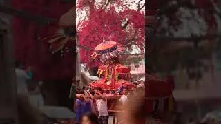 Culture of nepal  #culturel #travel #festival #vlog #keeploving