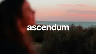View - Chardonnay (ft. Carmen Rose)