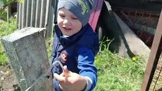 Летний день в деревне. Работа не заканчивается. жизнь в деревне.