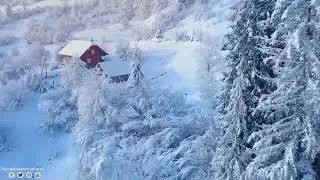Зимняя фантазия