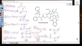c241su21 FunctionalGroups Paclitaxel