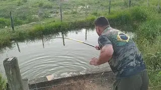 FISH UNDER THE ASPHALT, UNBELIEVABLE QUANTITY | FISHING WITH THE TELESCOPY WAND.