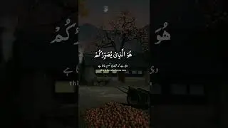 #quranrecitationbestclip #qurantilawat #hearttouchingquran #quranforpeace #quranforsleep #bestvoice