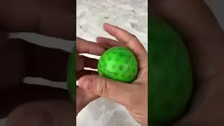 How to fix a Popped Squishy 