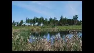 ЛЕТО  исп Макс Комов
