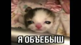 анрелиз ceykko - этот день