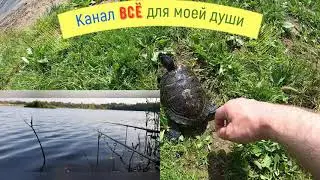 Трейлер канала