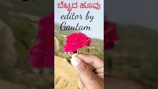 ಬೆಟ್ಟದ ಹೂವು
