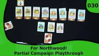 For Northwood! Partial Campaign Playthrough | 30 | Small Box, Big Game