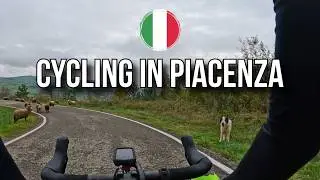 Cycling in Piacenza - Passo Caldarola / Rallio / Momeliano