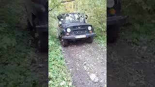 Уаз 469 в лесу
