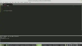 Python IDEs
