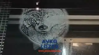 Mermer Granit Üzerine Lazer Markalama Kazıma İşlemi