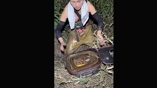 第5天晚上去捉鳝鱼