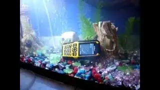 телефон OUTFON в аквариуме