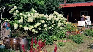End of summer~ Start of fall~!! Delicious Korean country home life