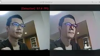 Facial Cartoonization, 60FPS, OpenVINO FP16, Corei7 CPU only, without GPU