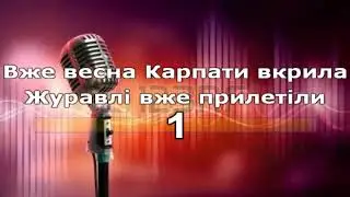 Експрес Экспресс   Смерека minus 5