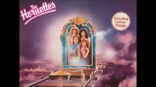 The Hornettes - What Will They Say At School (1982)