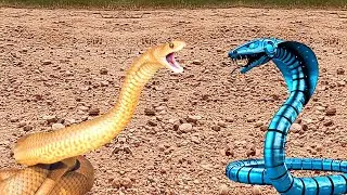 7 Robotic Animals That Will Leave You Speechless