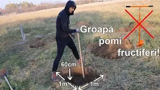 Saparea gropilor pentru pomii fructiferi