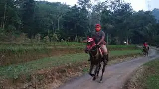Jalan - jalan berkuda #shorts  #andianfa
