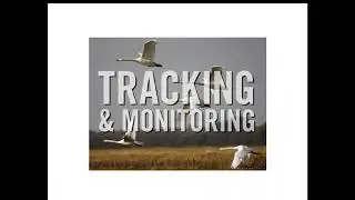 Webinar 2: Transition Preparation