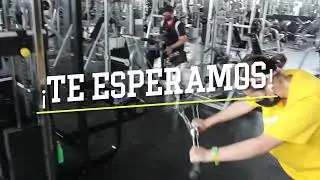 Video para estados Gym