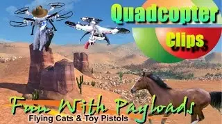 Quadcopter Drone Flying A Cat Around And Other Drone Payloads