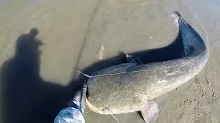 When catfish bite on two spinning rods at once!