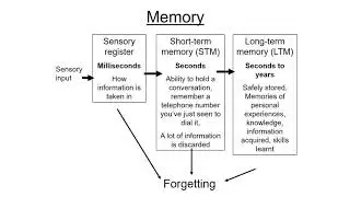 Cognitive Rehabilitation