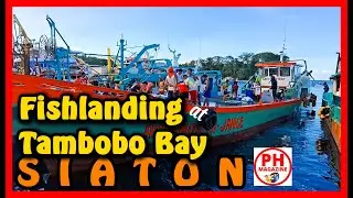 Fishlanding at Tambobo Bay | SIATON