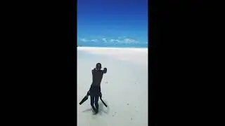 PEMBA ISLAND - Short video with Afro Divers