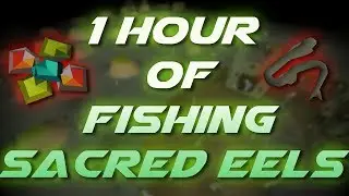 Fishing Sacred Eels | Testing OSRS Wiki Money Making Guides