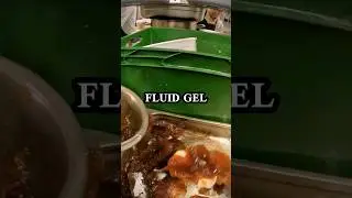 Why Restaurants Love Gels