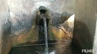 GÜLLİYEK PINAR OKÇULAR