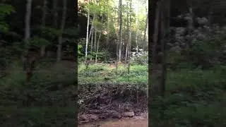 Arrowhead FAKER aka ArtiFAKE! Arrowhead Hunting