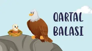 Qartal balası - Azərbaycan dilində uşaq cizgi film kanalı