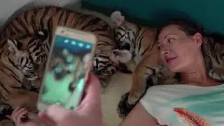 TRAILER | Protecting Big Cats