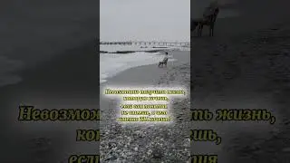 Быть в контакте с собой и своими чувствами, поможет лучше понимать «Чего же я хочу?» 