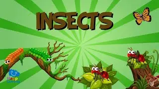 Teach Kids Insects Names & Sounds - Fun Educational Video for Children