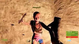 Rust with Friends In a Nutshell
