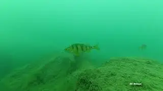 Волнухинской карьер