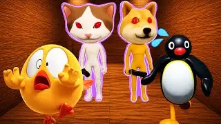 Chicky and Pingu Plays : ESCAPE THE SCARY ZOO ANIMALS! (Roblox Obby)