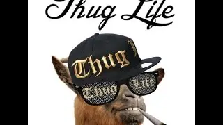 Mİnecraft Thug life türkçe (Enes Batur)