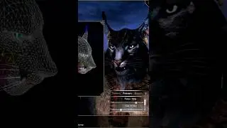 POV: вы разработчик персонажей в скайрим || Skyrim RFAB SE X     
