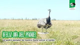 ¡Feliz día del Padre!
